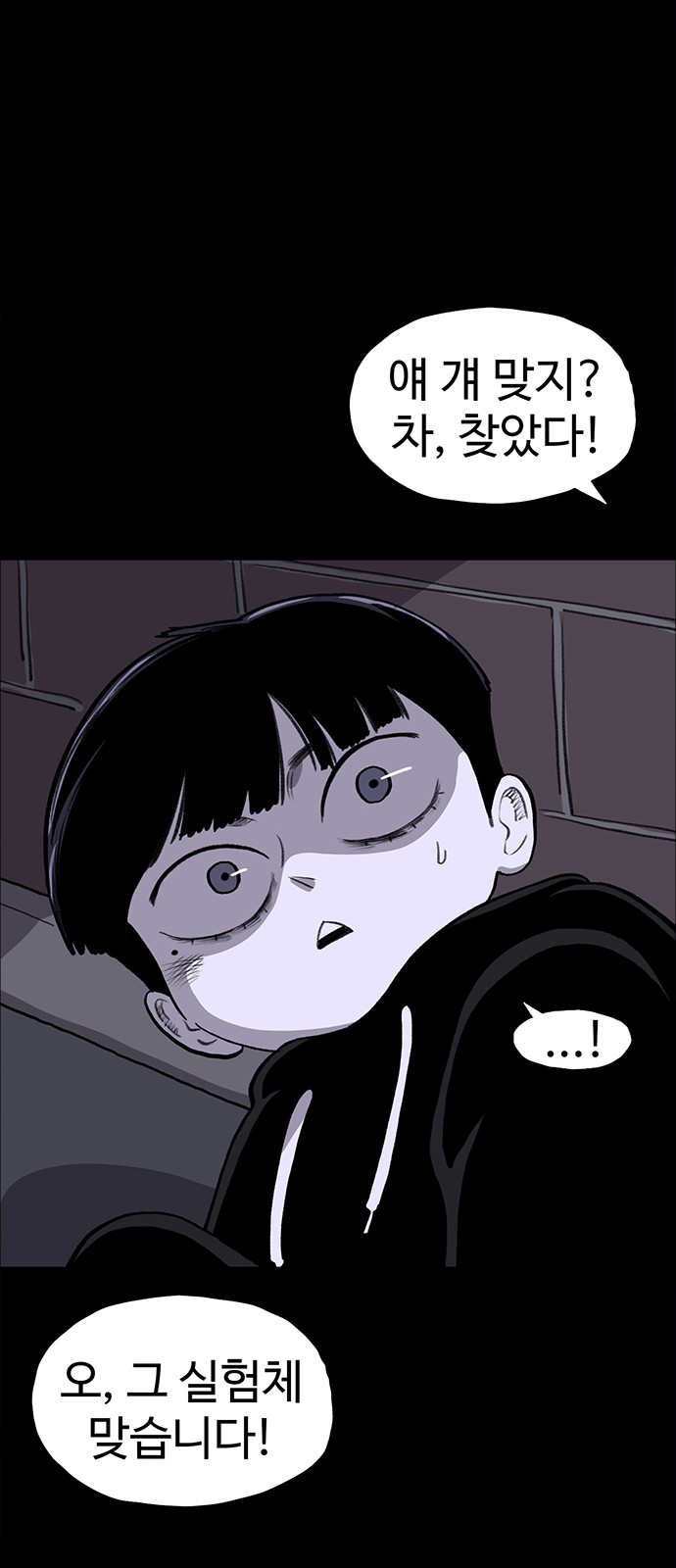 81 페이지