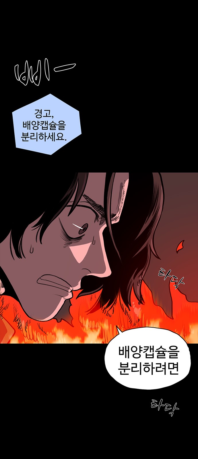 80 페이지