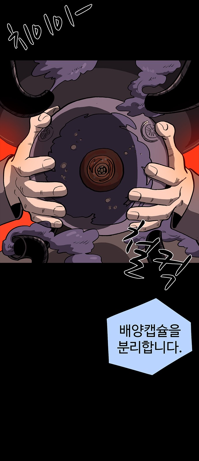 31 페이지