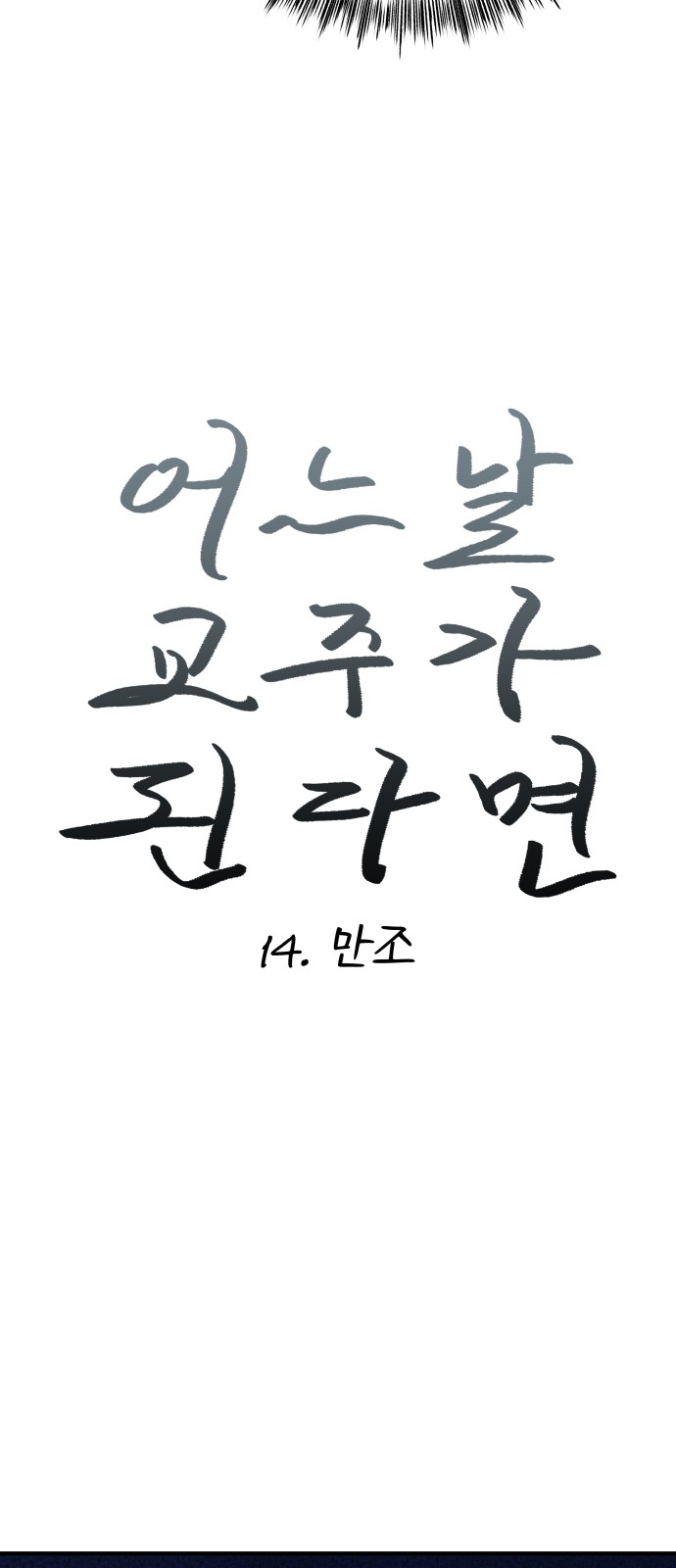 14 페이지