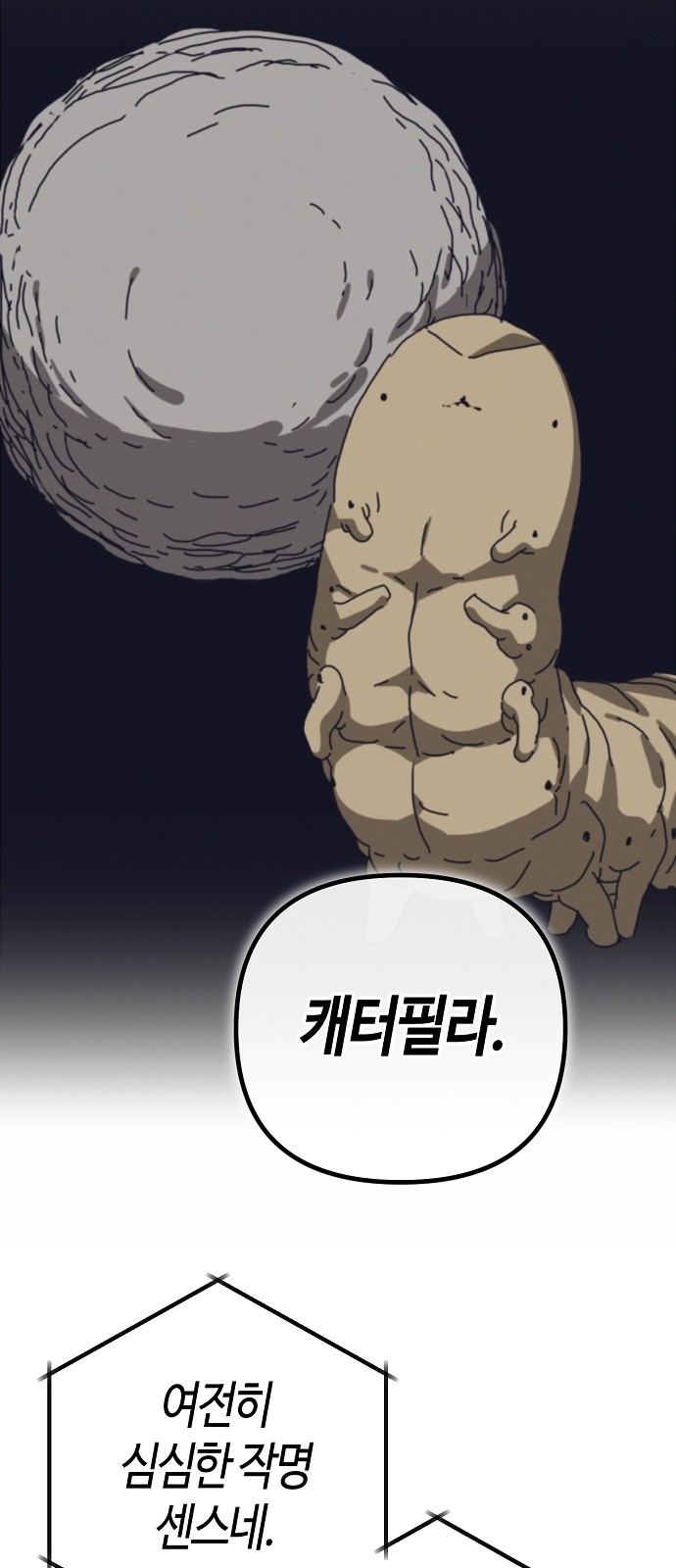 36 페이지