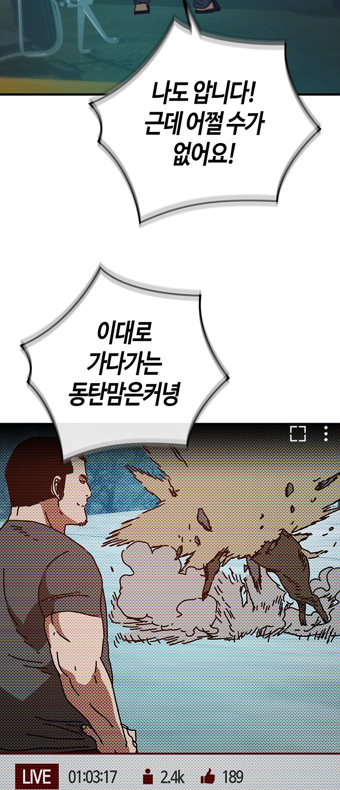 43 페이지
