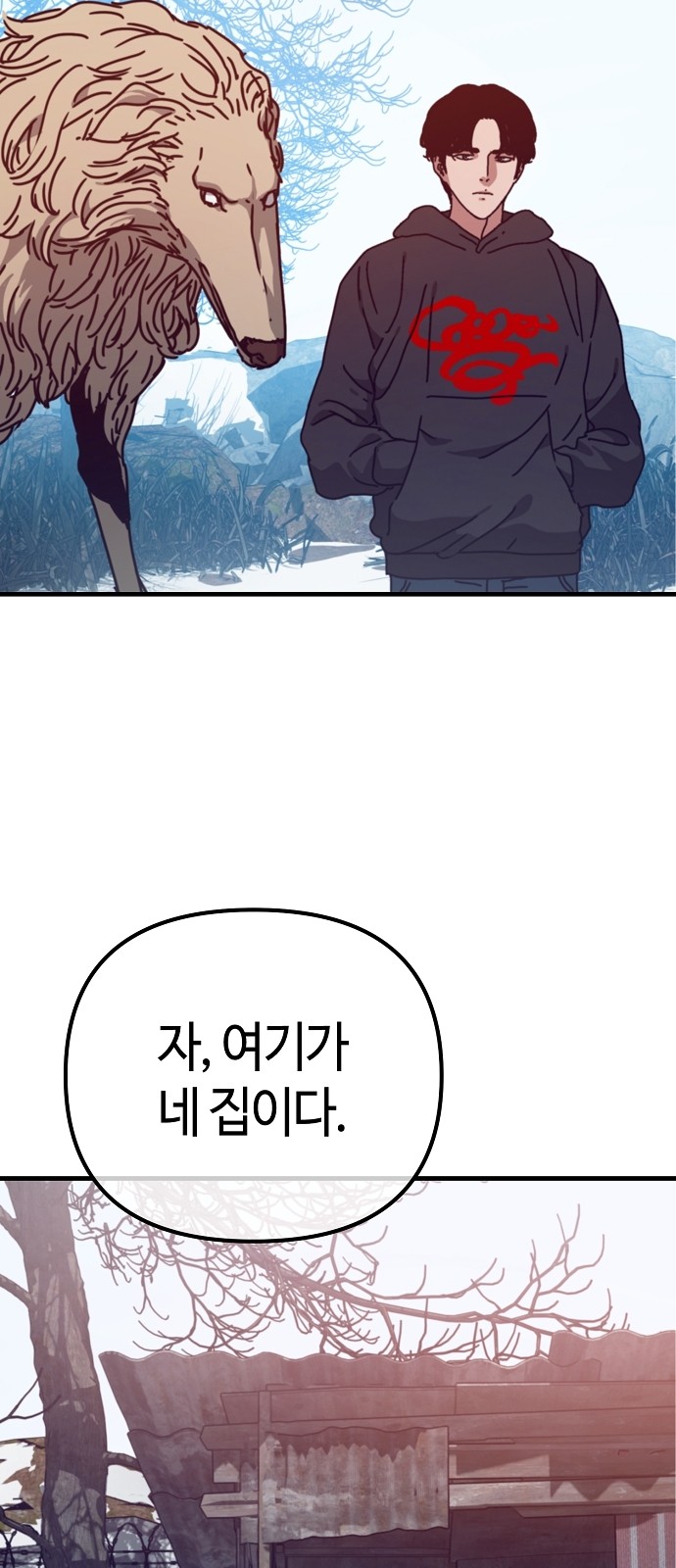 17 페이지