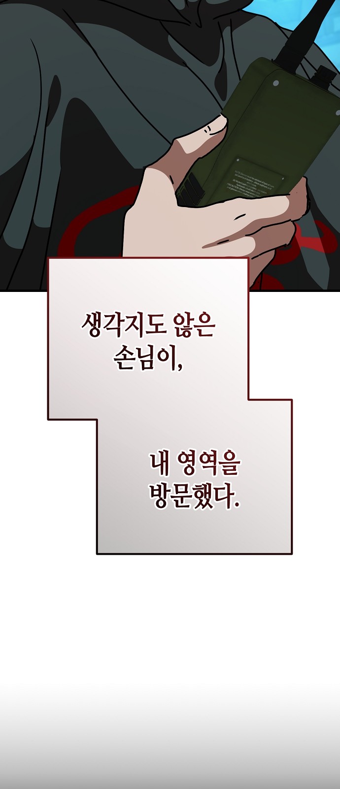 66 페이지
