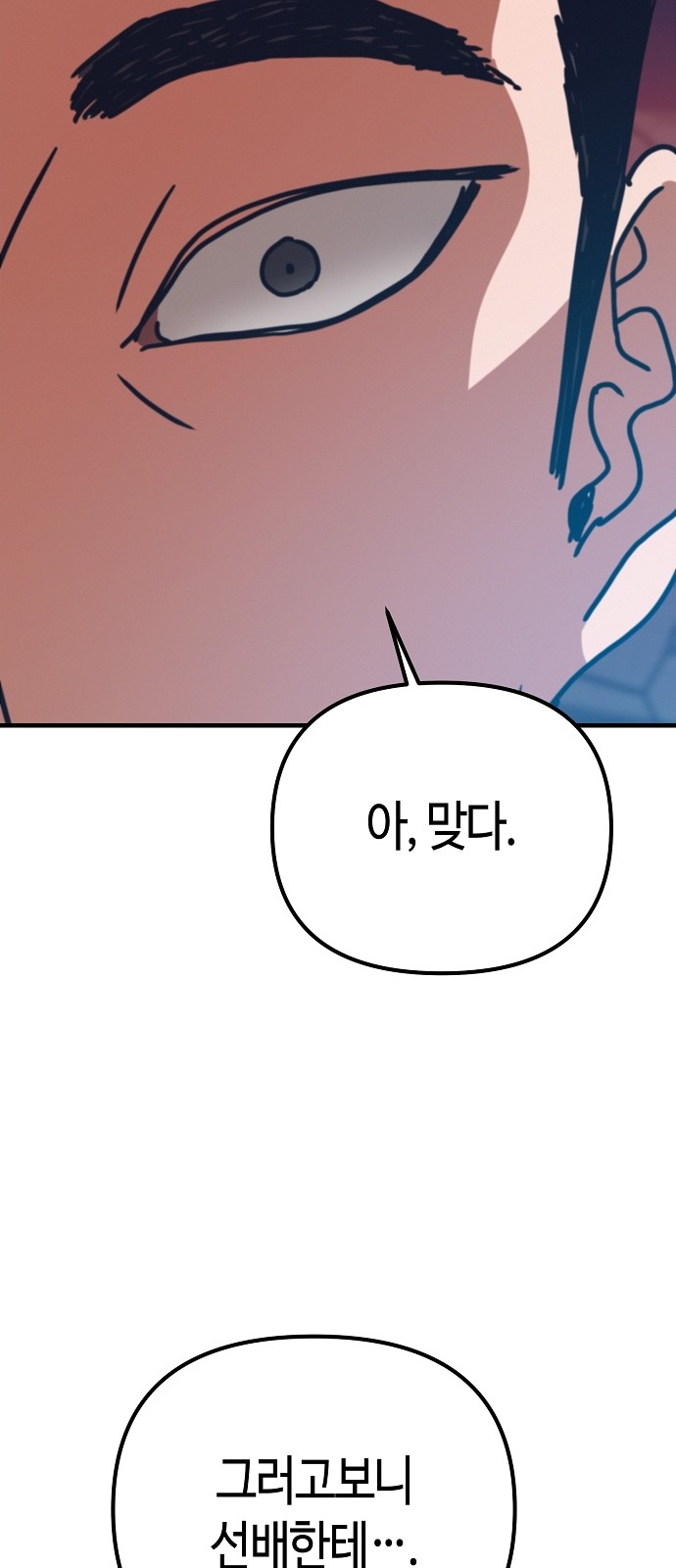 86 페이지
