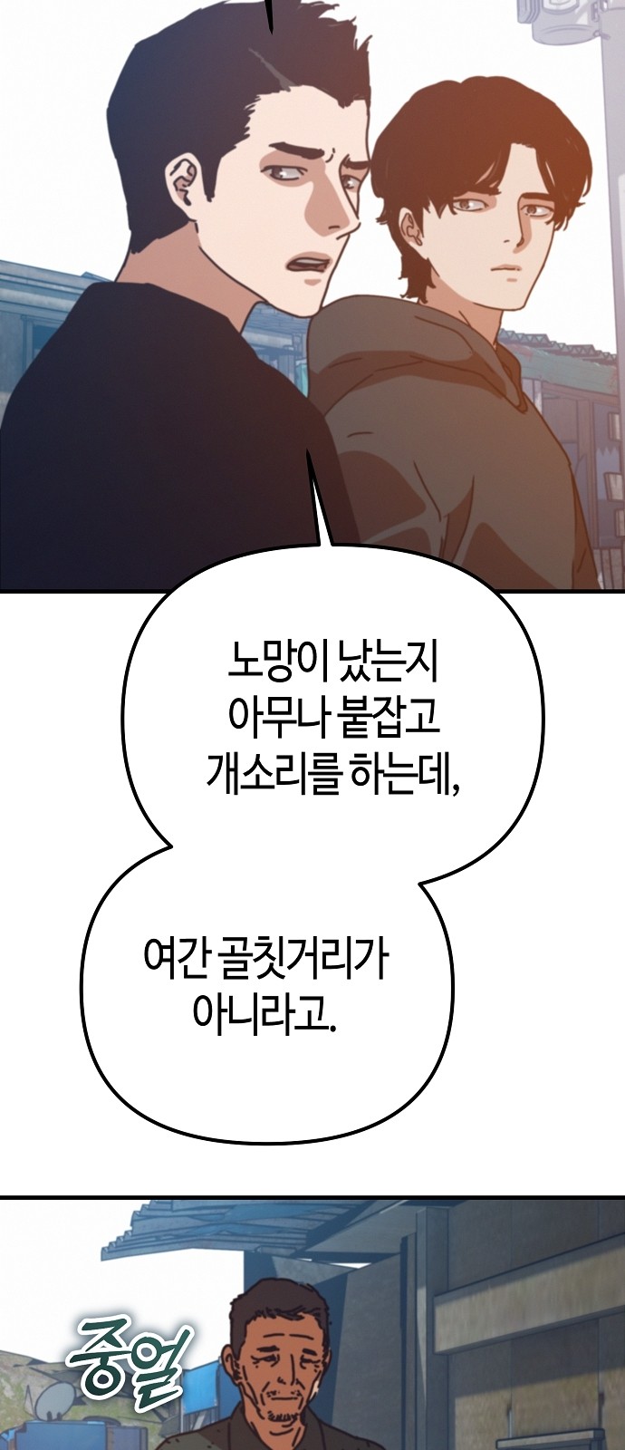 43 페이지