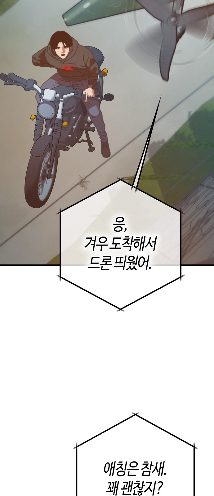 29 페이지