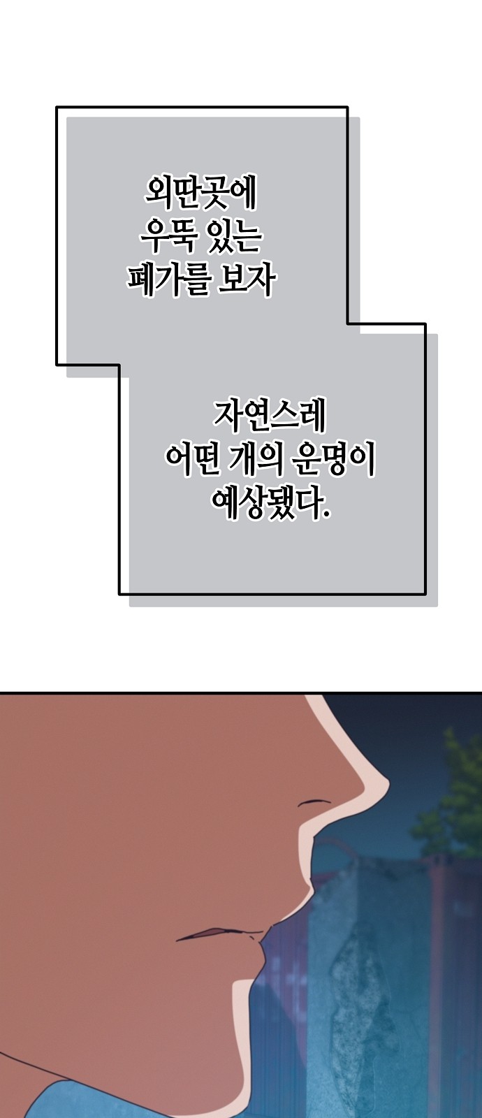 91 페이지
