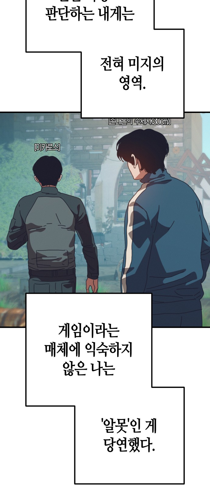 30 페이지