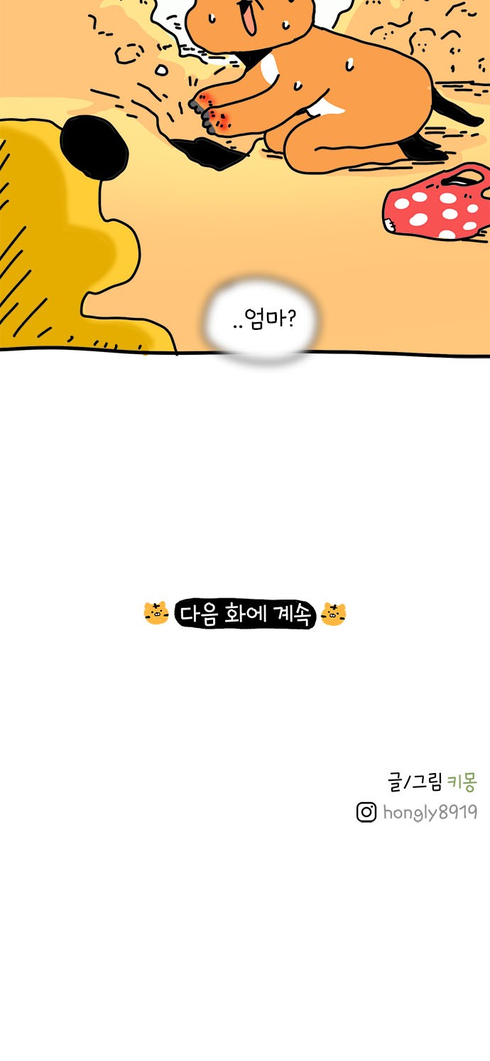 34 페이지