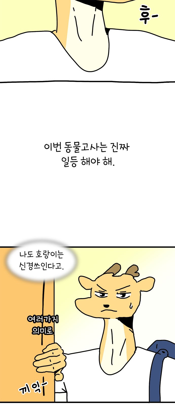 15 페이지