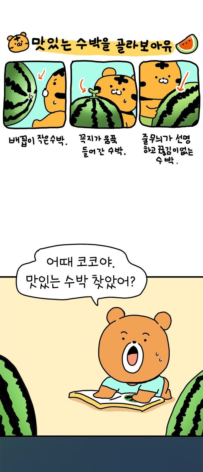 10 페이지