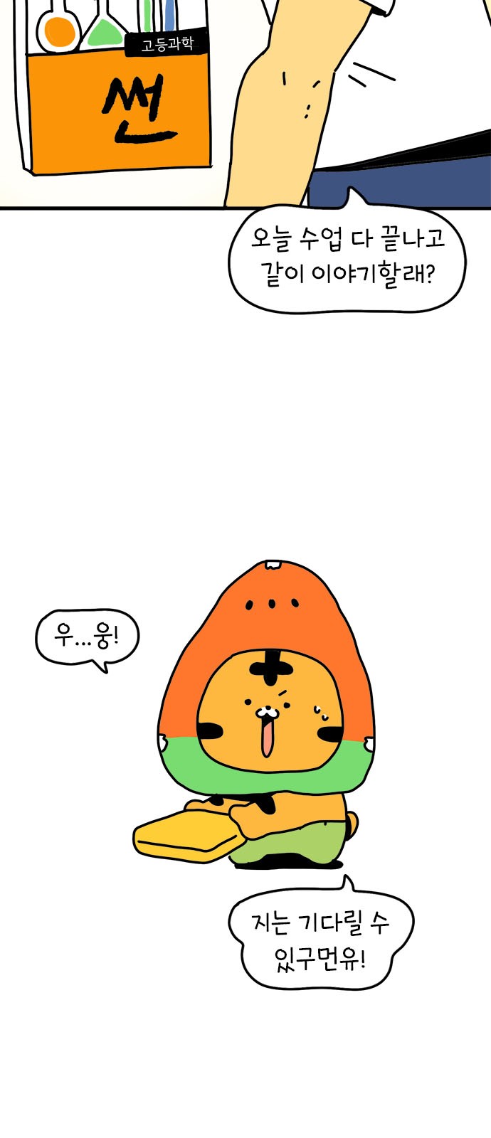 33 페이지