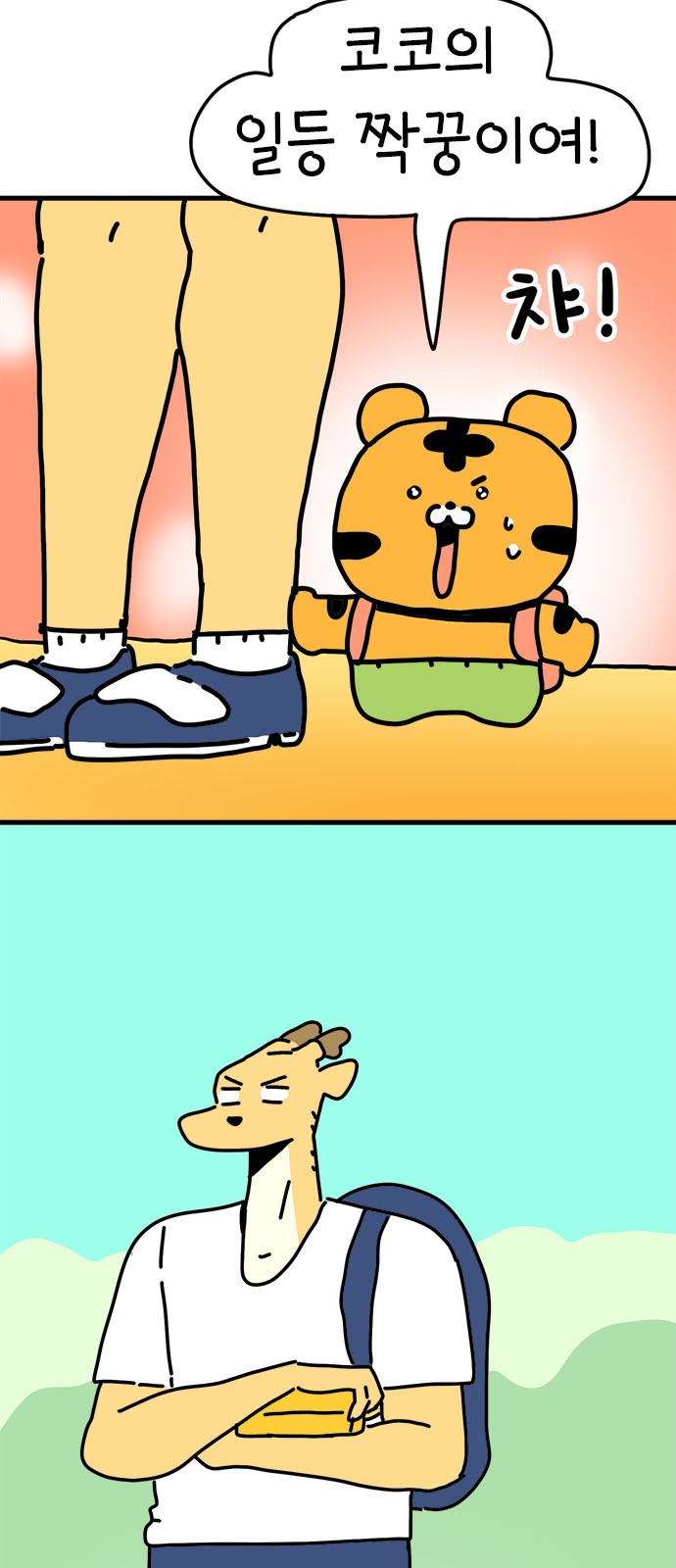 15 페이지