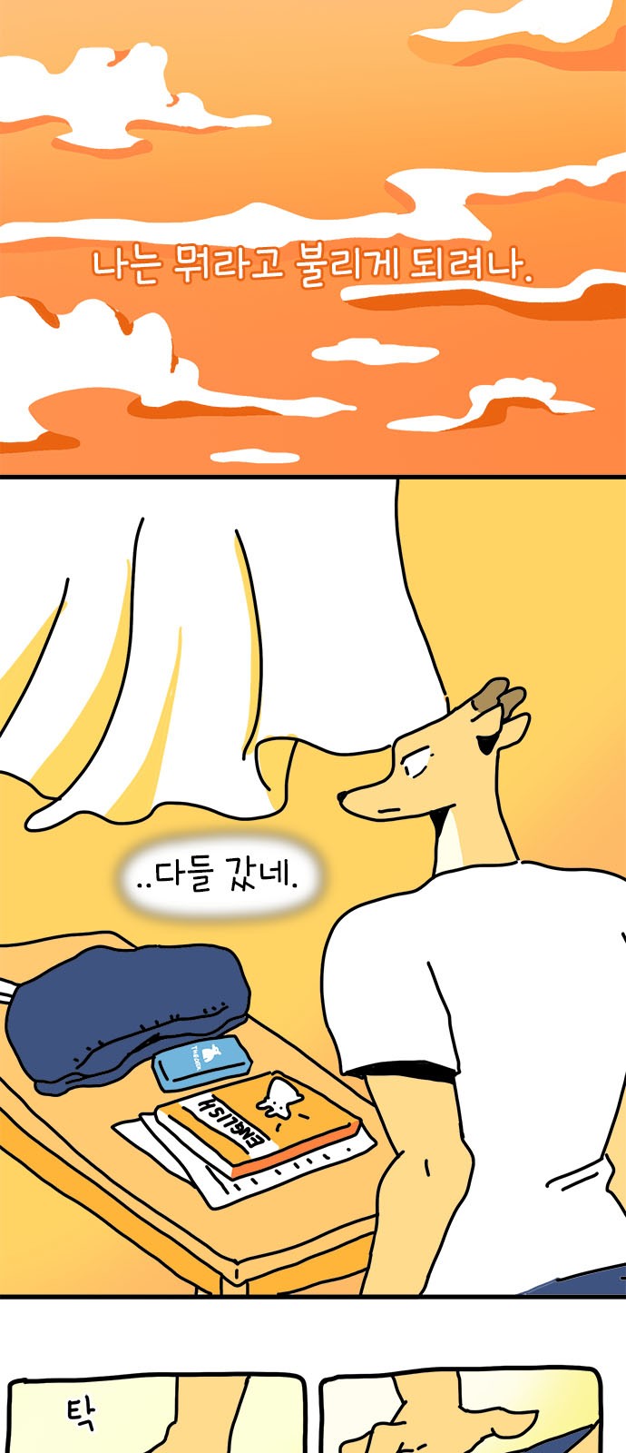 17 페이지