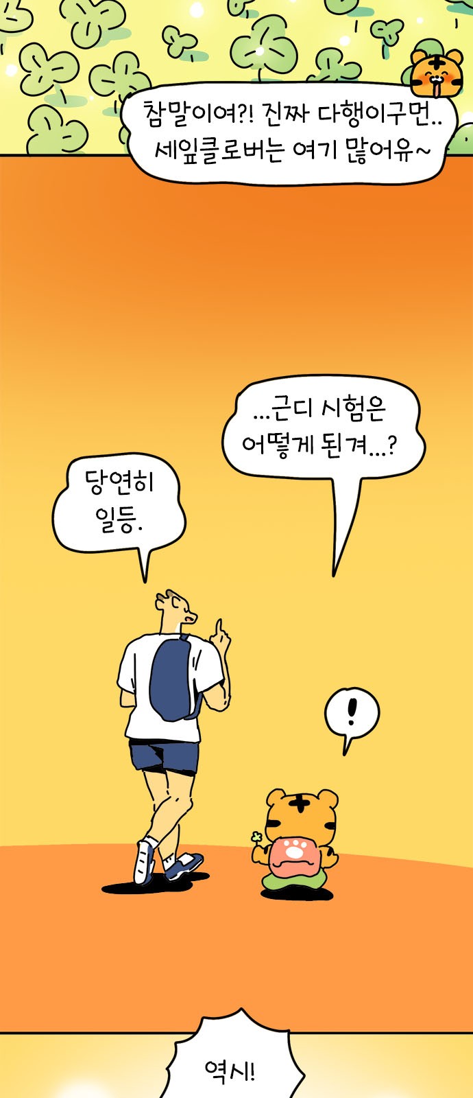 45 페이지