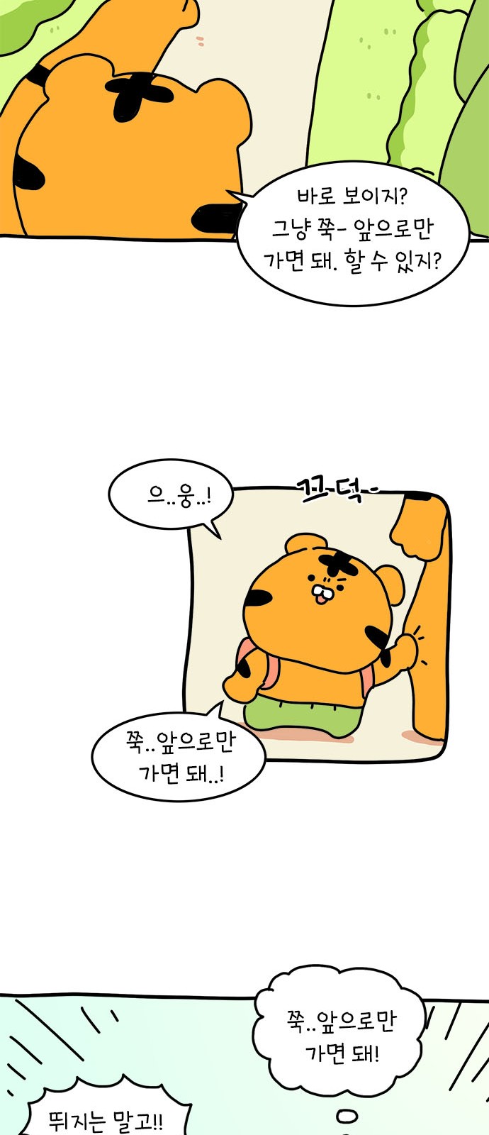 13 페이지