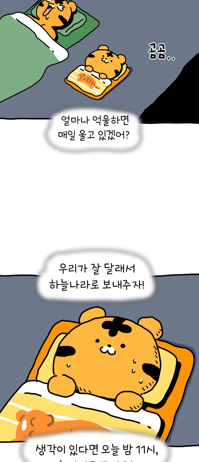 19 페이지