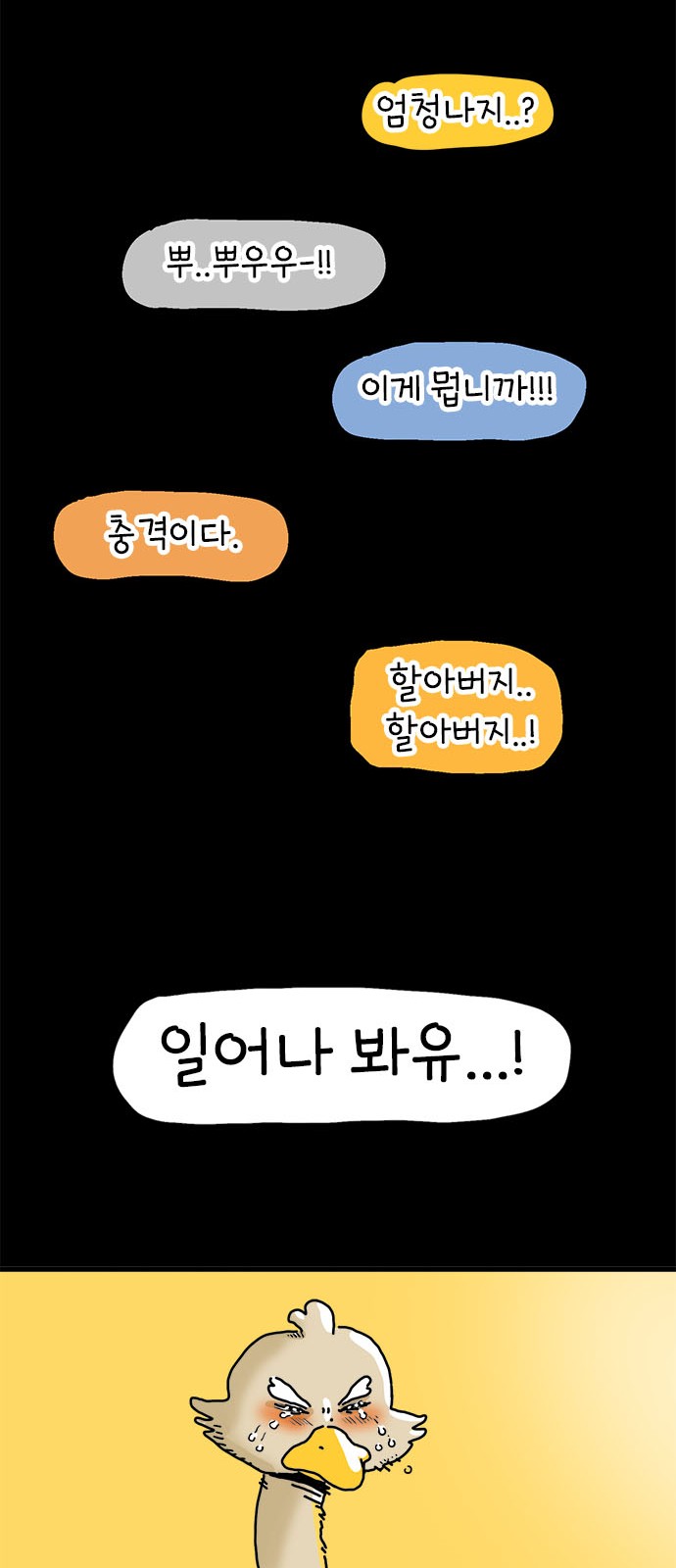 43 페이지