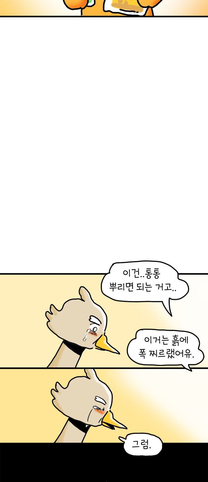 48 페이지