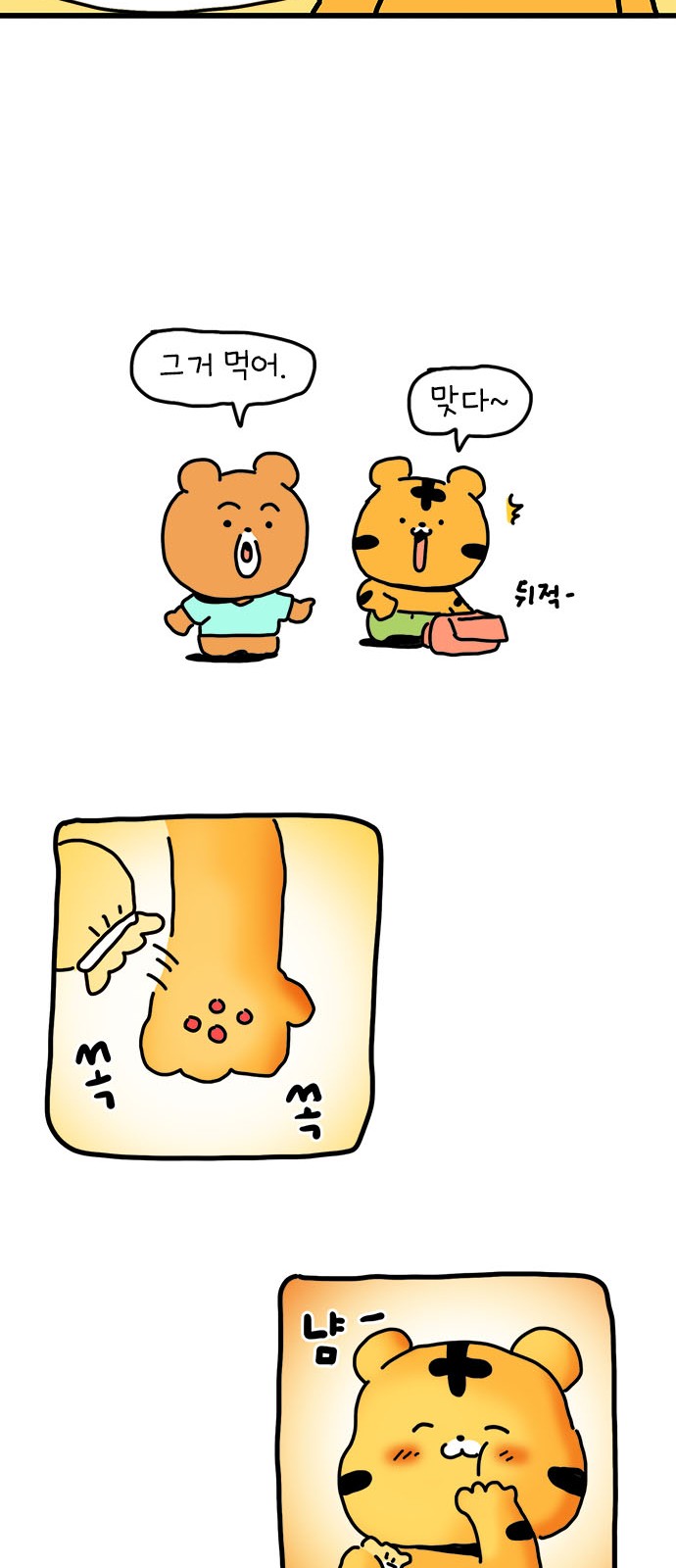 51 페이지