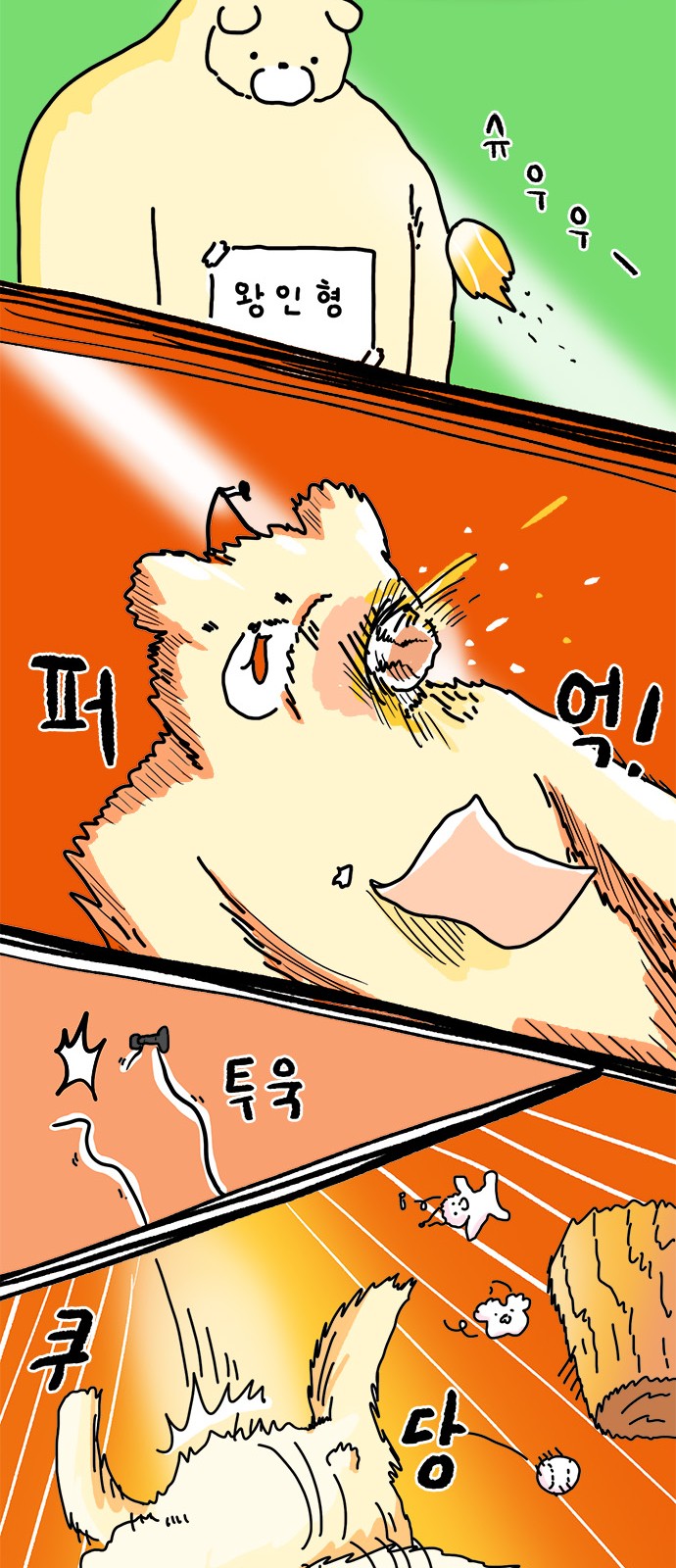 24 페이지