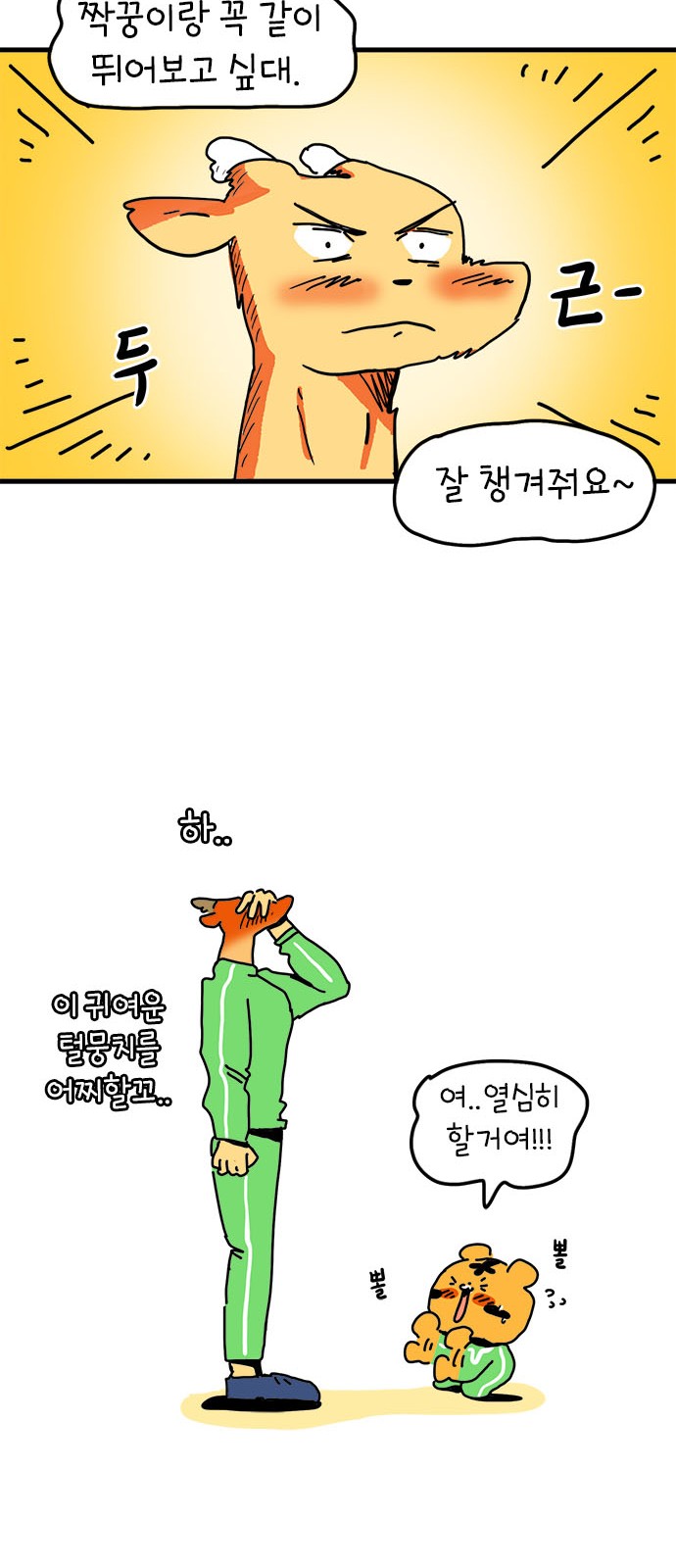31 페이지