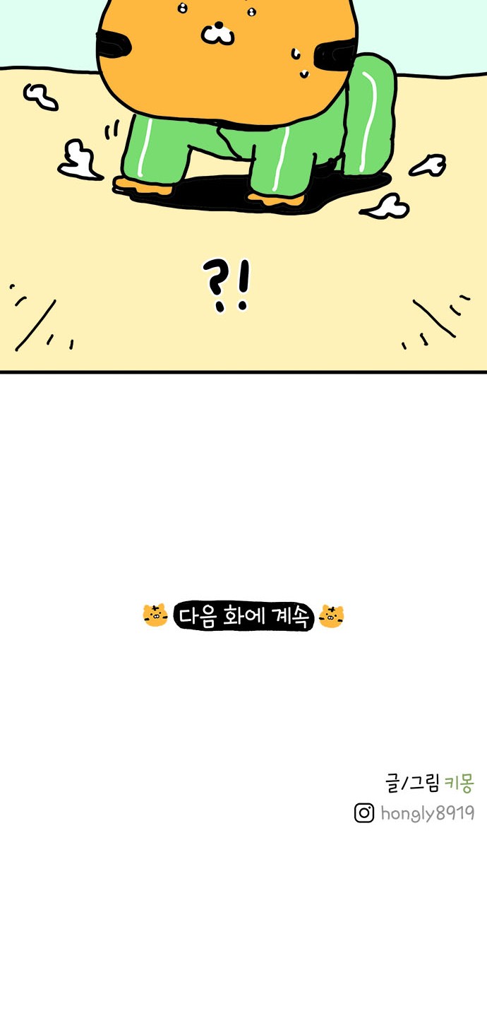 46 페이지