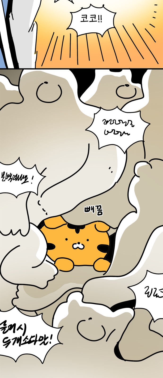 14 페이지