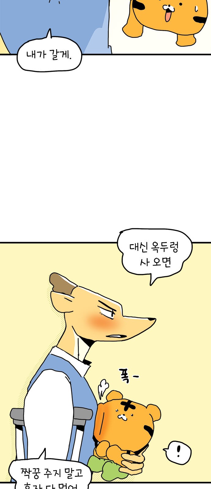 19 페이지
