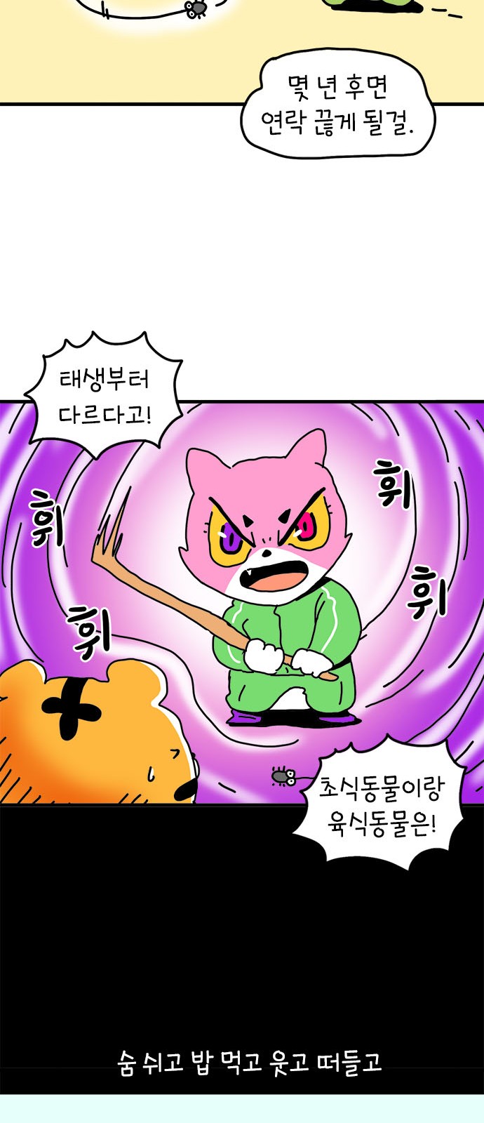 40 페이지