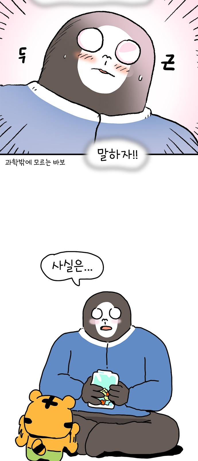 43 페이지