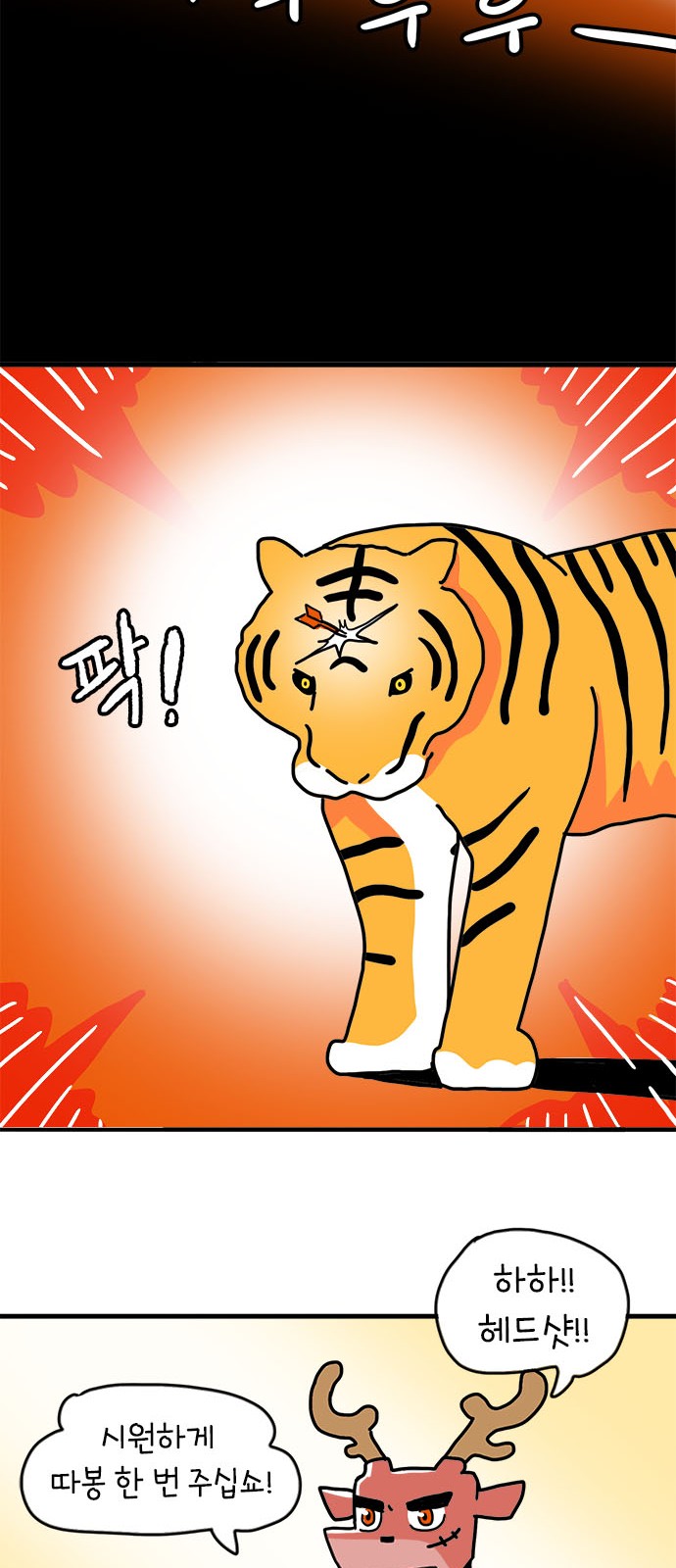 11 페이지