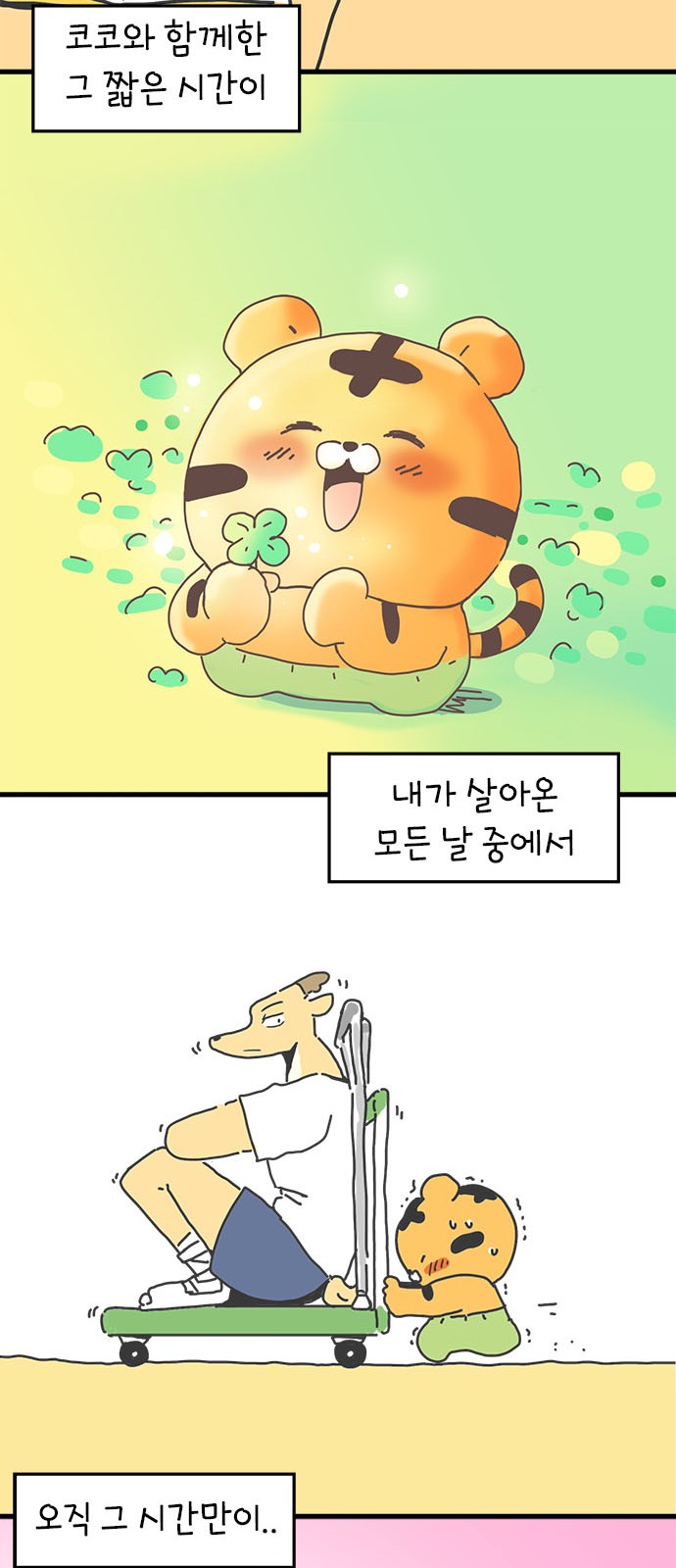 19 페이지