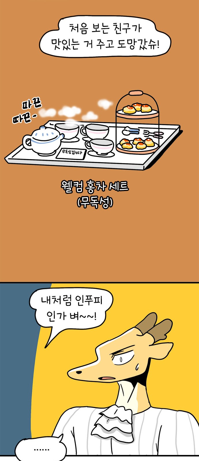 46 페이지