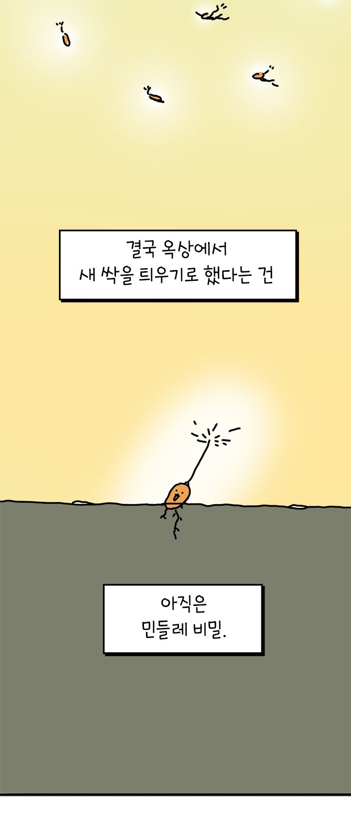 56 페이지