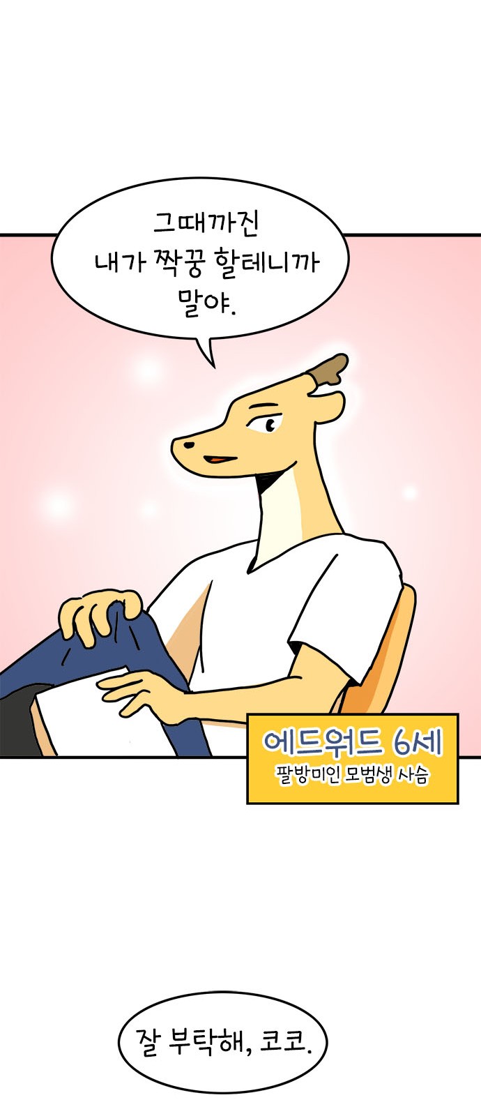 34 페이지