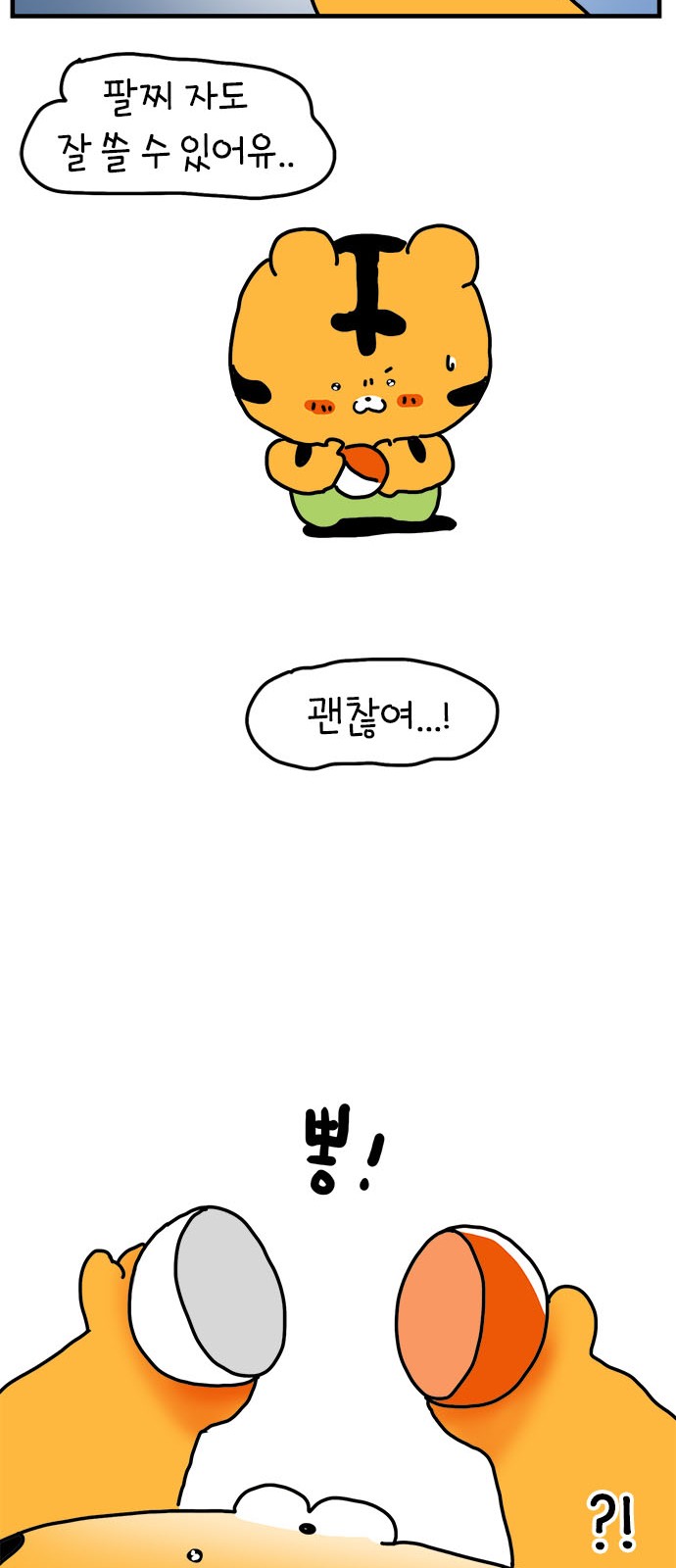 46 페이지