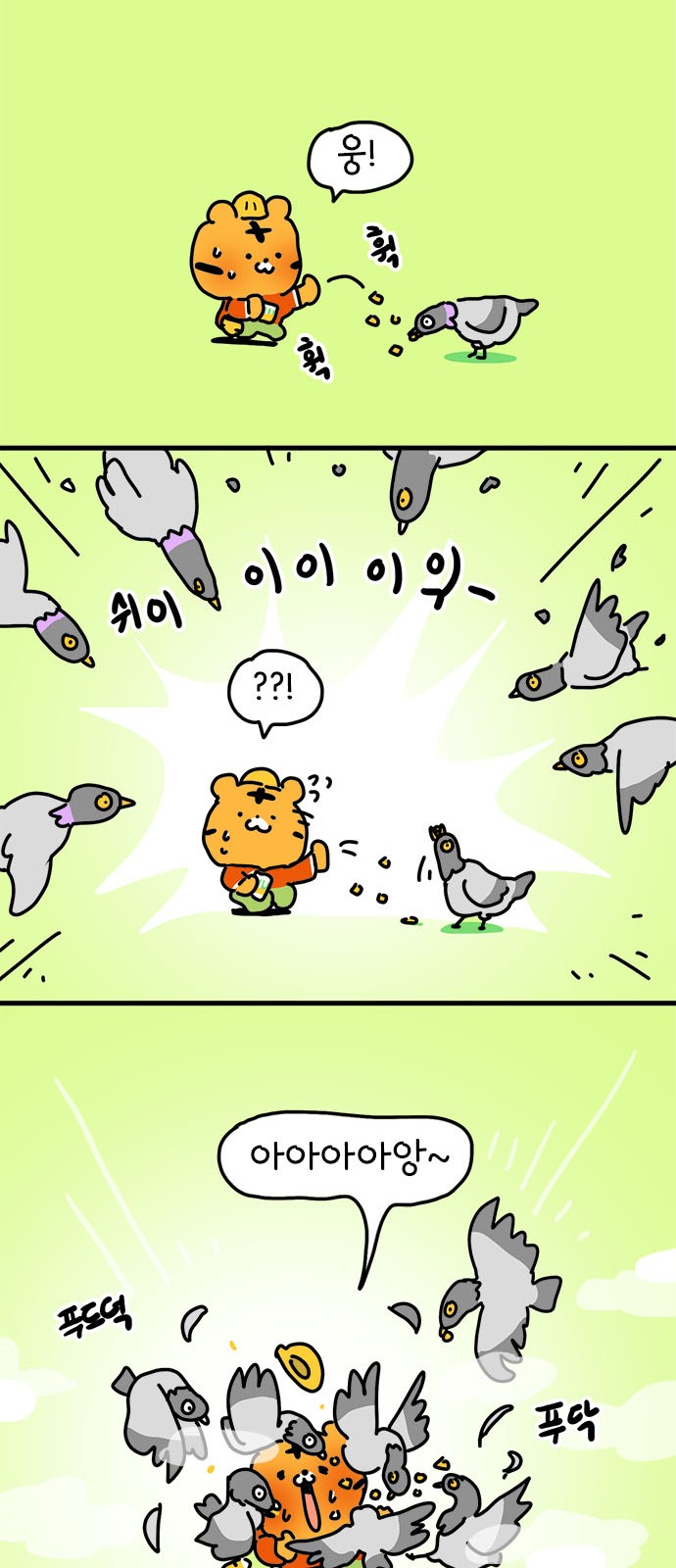 12 페이지