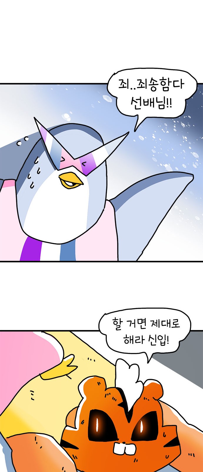 43 페이지