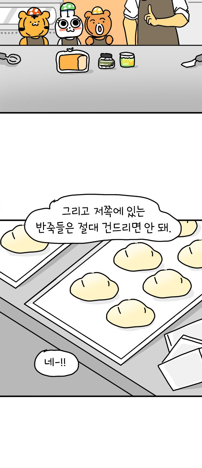 52 페이지