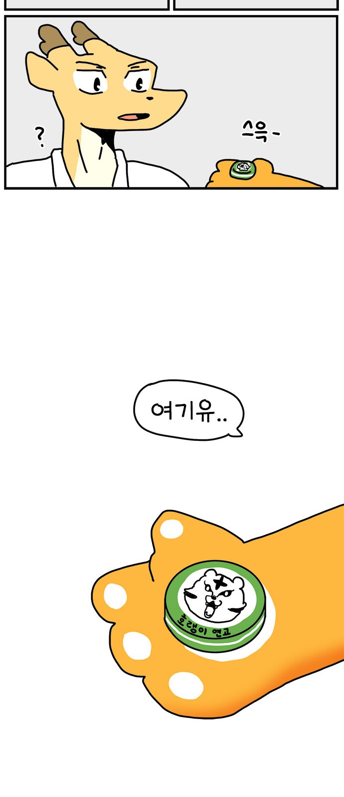 58 페이지