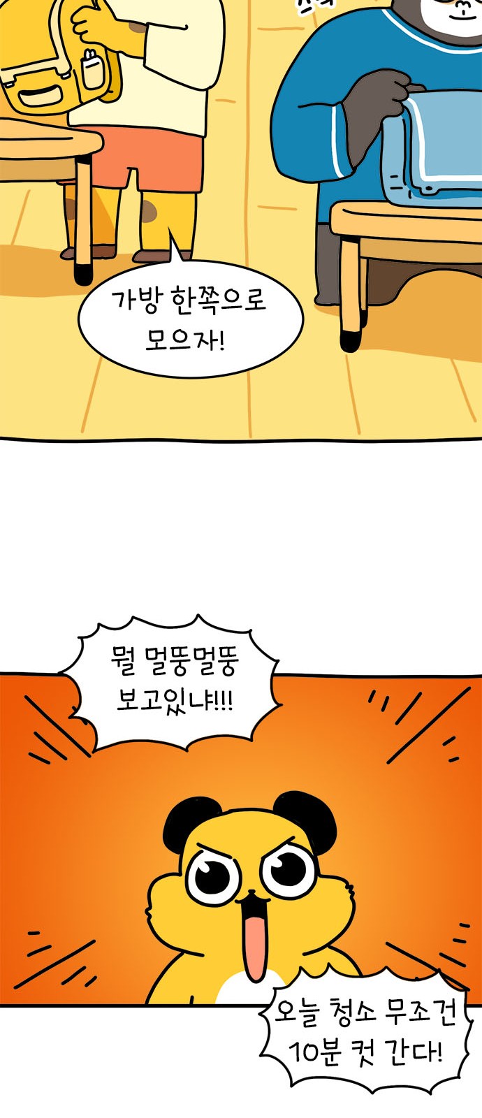 11 페이지