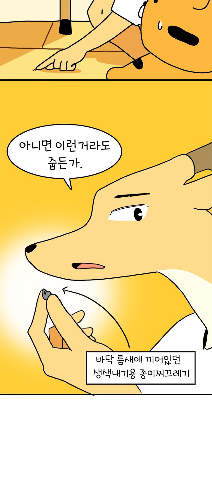 5 페이지