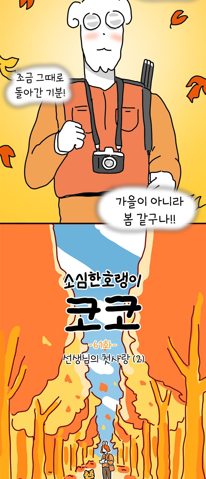 20 페이지