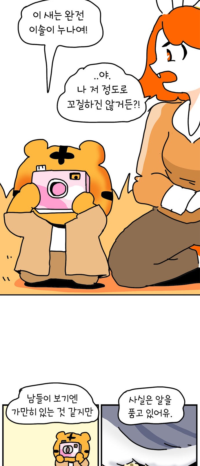 43 페이지
