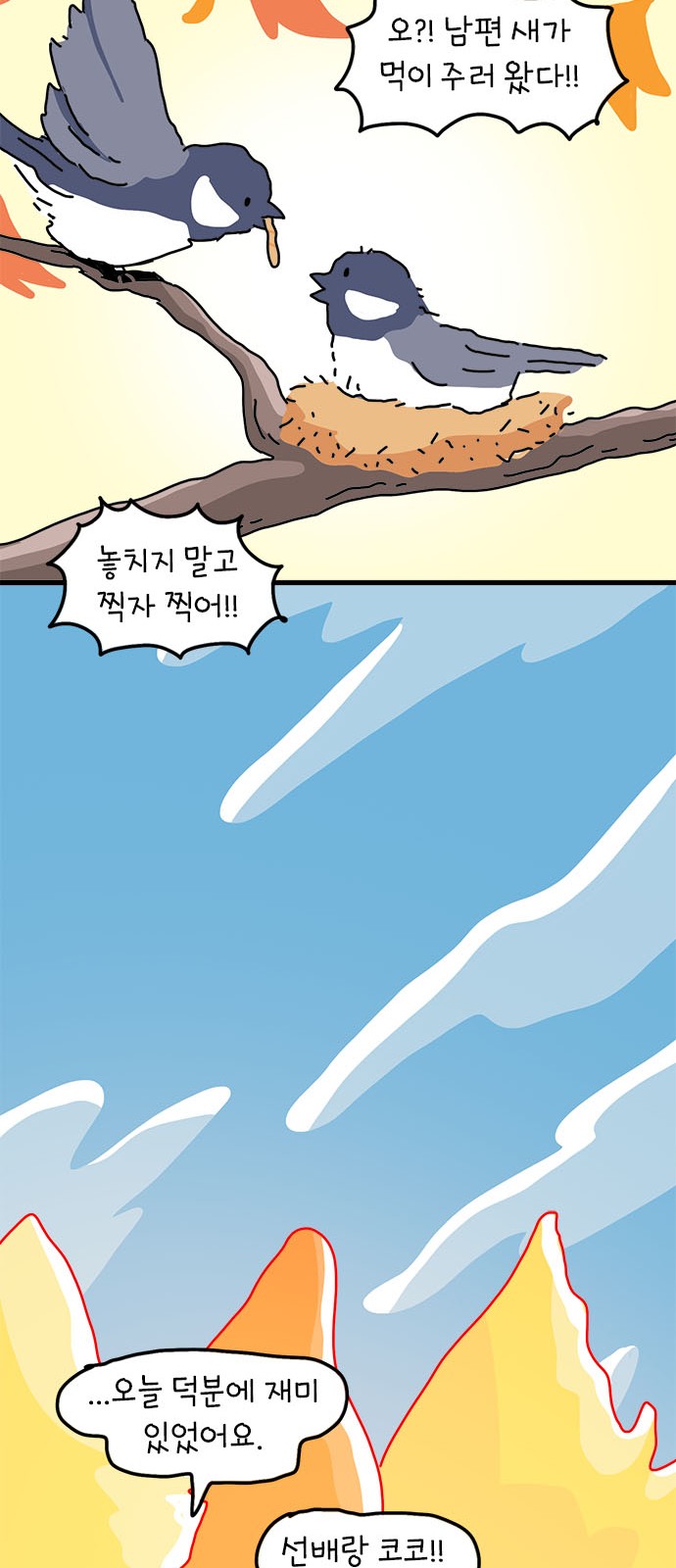 50 페이지
