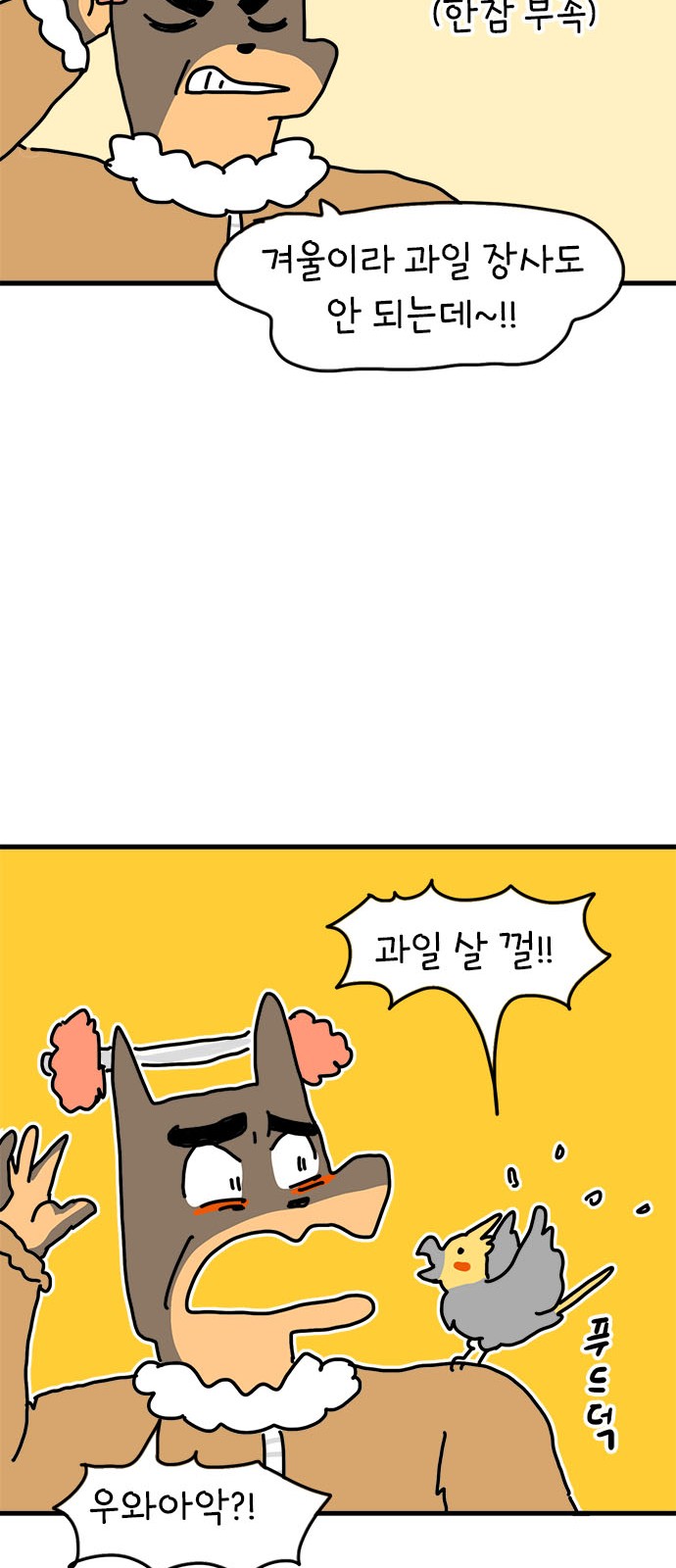13 페이지