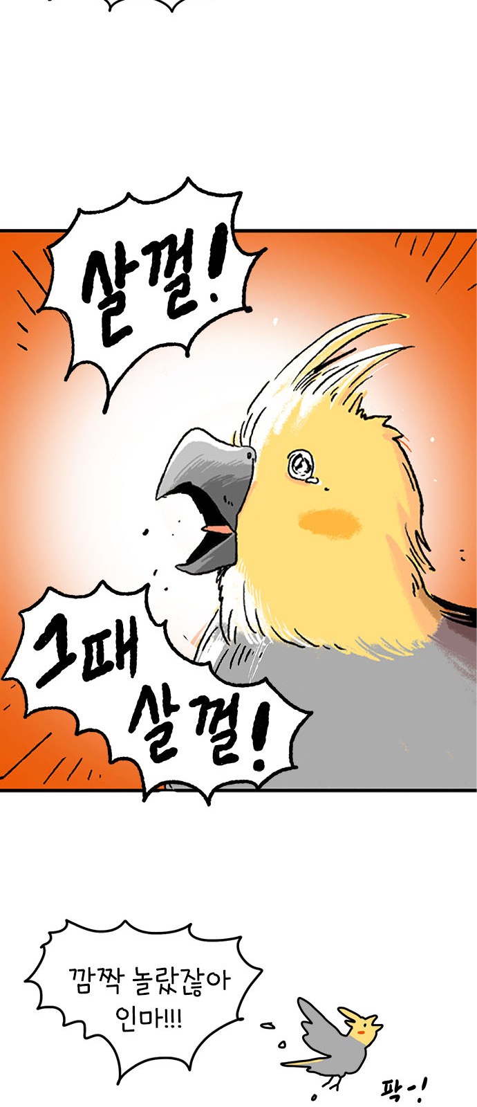 14 페이지