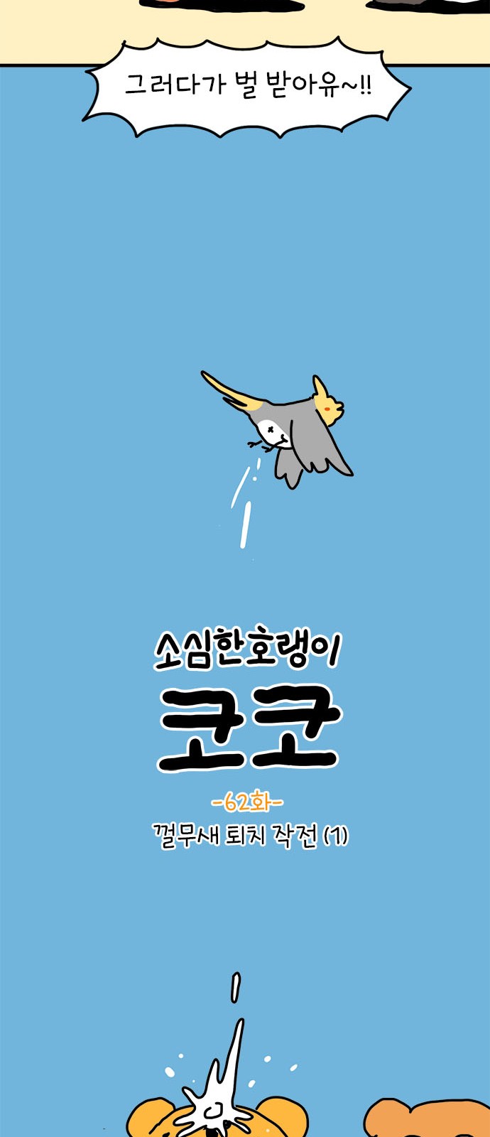 16 페이지
